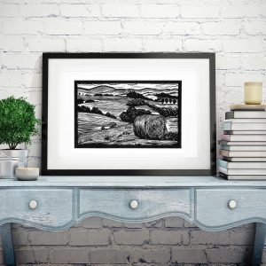 Hay Season | Australian Landscape