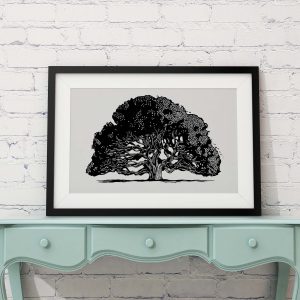 Fig Tree | Tree of Life