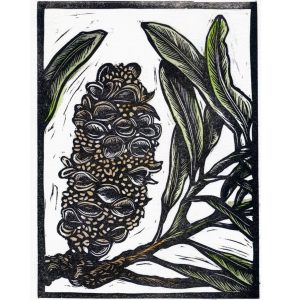 Dried banksia seed pod lino print