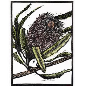 Banksia 6 | Australian Wild Flower