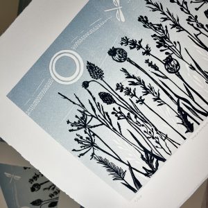 Dragonfly Grasses