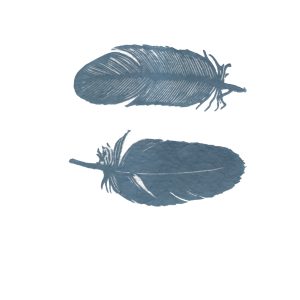 Two Feathers
