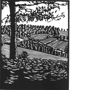 Lino Print My Back yard