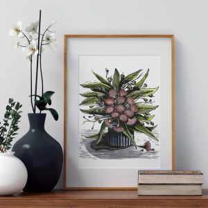 Blooms